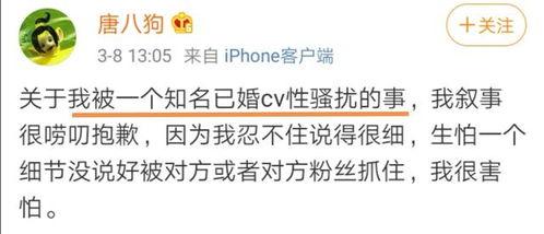 最新龙吟爆料消息是真的吗,最新消息真实性揭秘